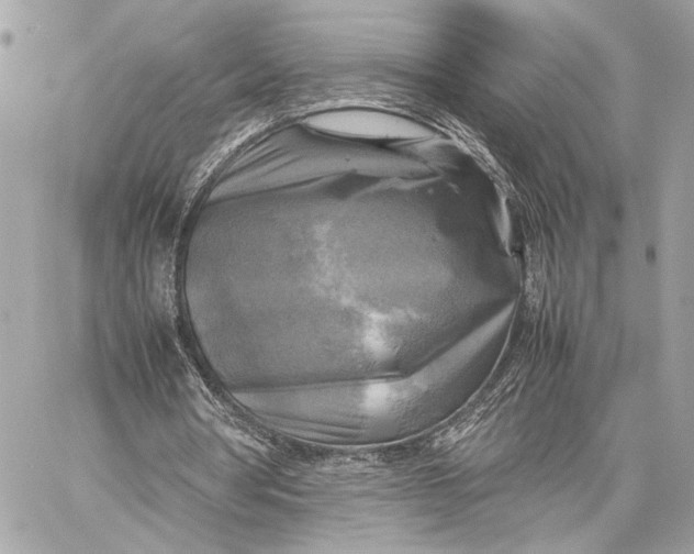 X0000059230386200511041247