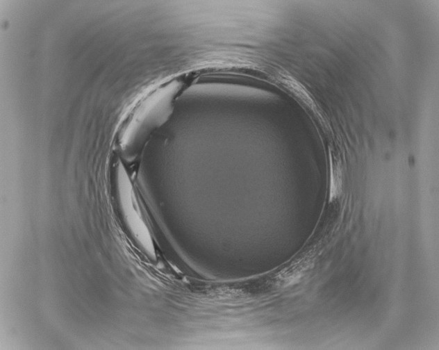 X0000059230387200511041247