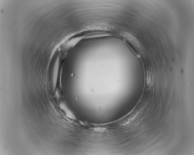 X0000059230388200511041247