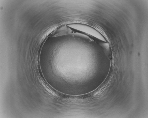 X0000059230389200511041247