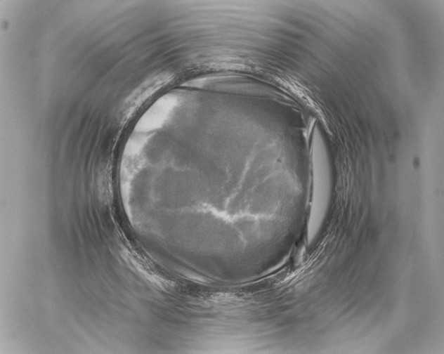 X0000059230390200511041247