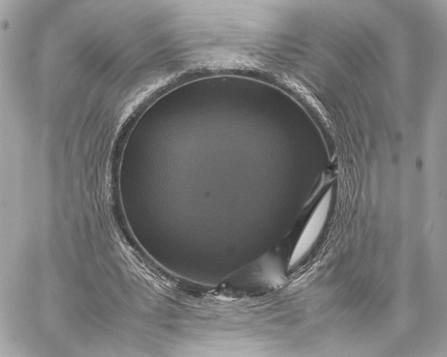 X0000059230391200511041247