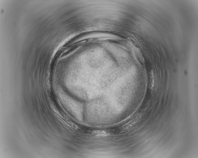 X0000059230392200511041247