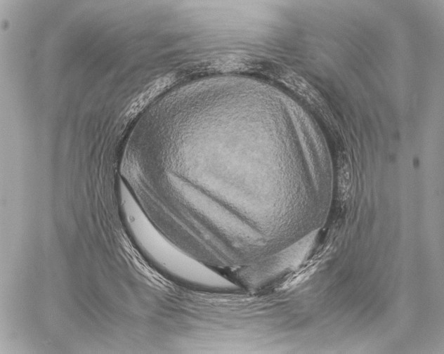 X0000059230393200511041247