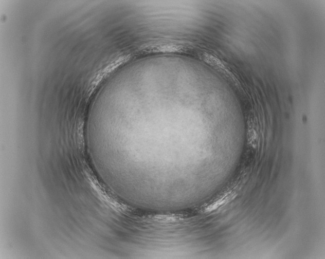 X0000059230394200511041247