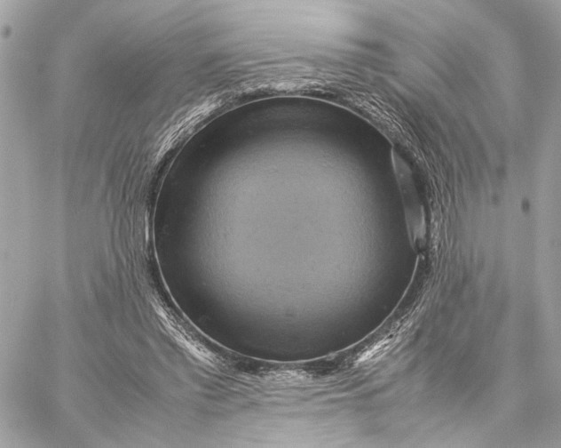 X0000059230397200511041247