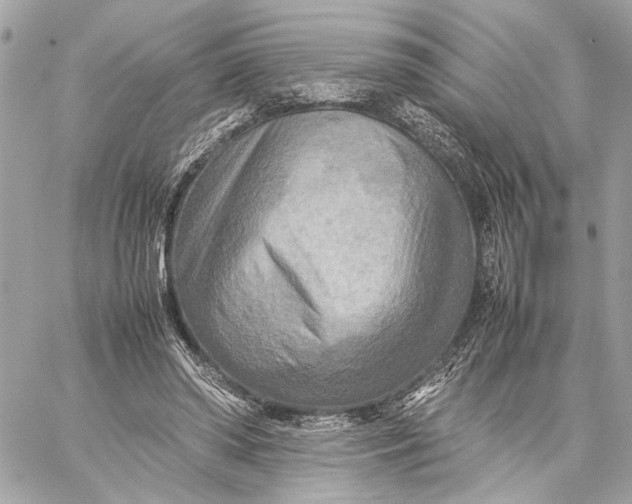 X0000059230398200511041247