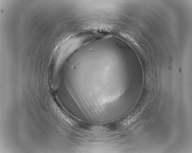 X0000059230399200511041247