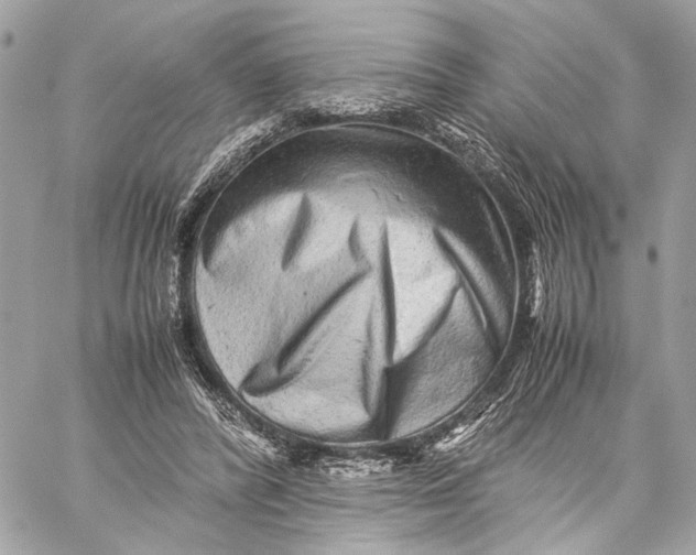 X0000059230400200511041247