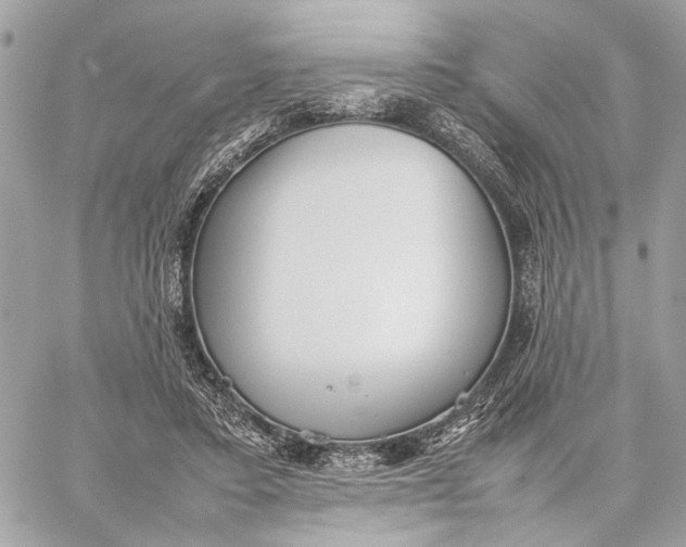 X0000059230403200511041247