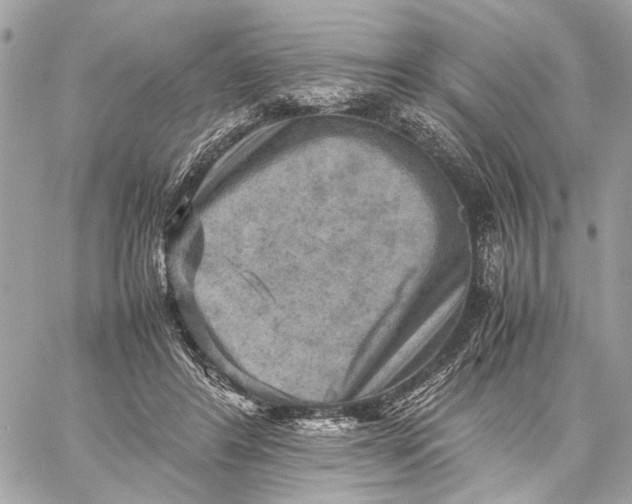 X0000059230404200511041247