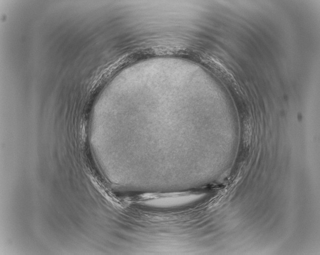 X0000059230405200511041247