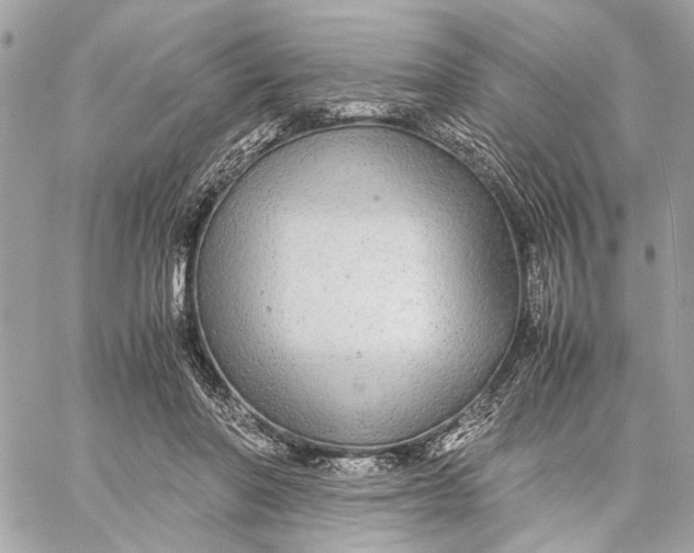 X0000059230406200511041247