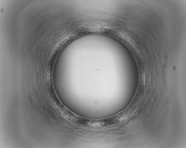 X0000059230407200511041247