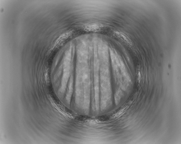 X0000059230408200511041247