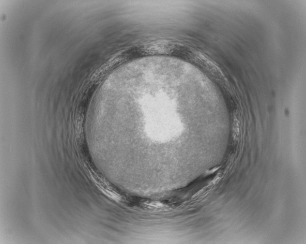 X0000059230409200511041247