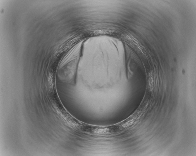 X0000059230410200511041247