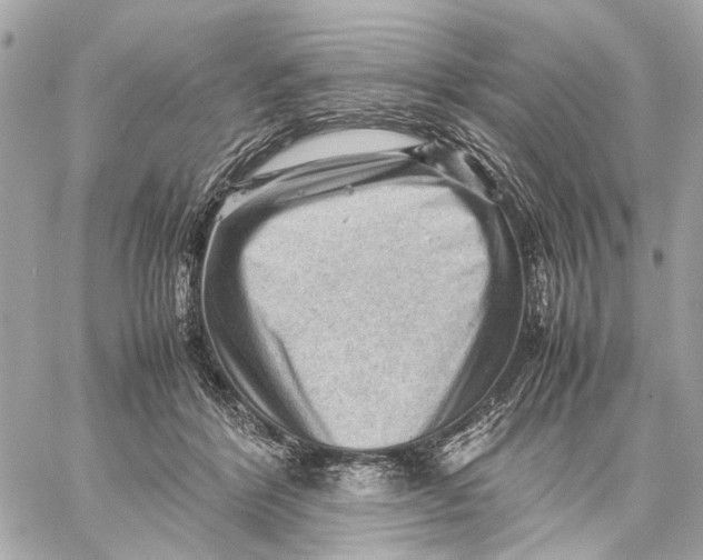 X0000059230412200511041247