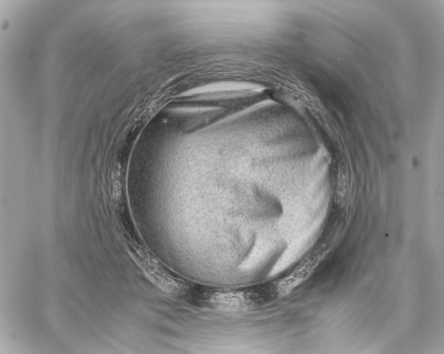 X0000059230413200511041247