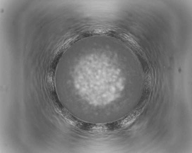 X0000059230415200511041247