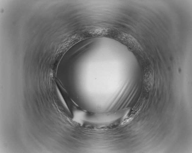 X0000059230416200511041247