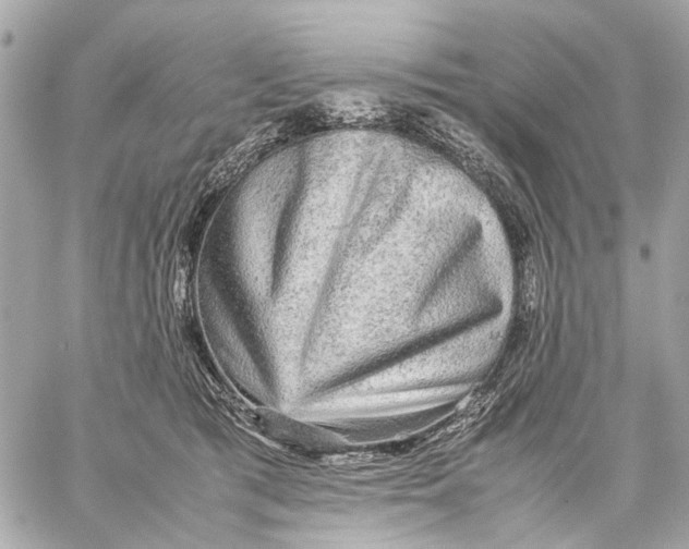 X0000059230417200511041247