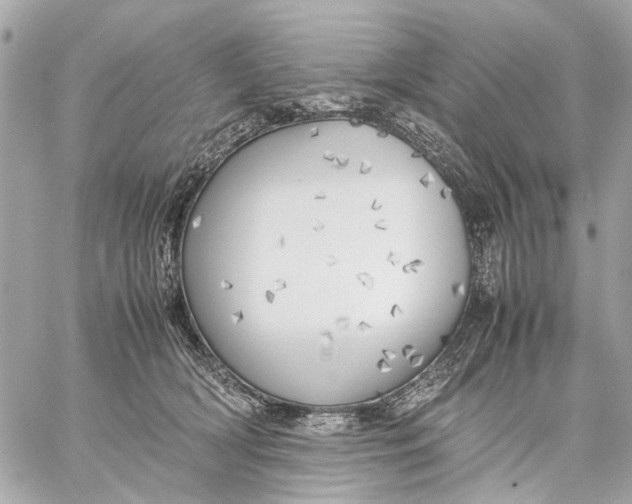 X0000059230418200511041247