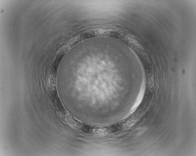 X0000059230419200511041247