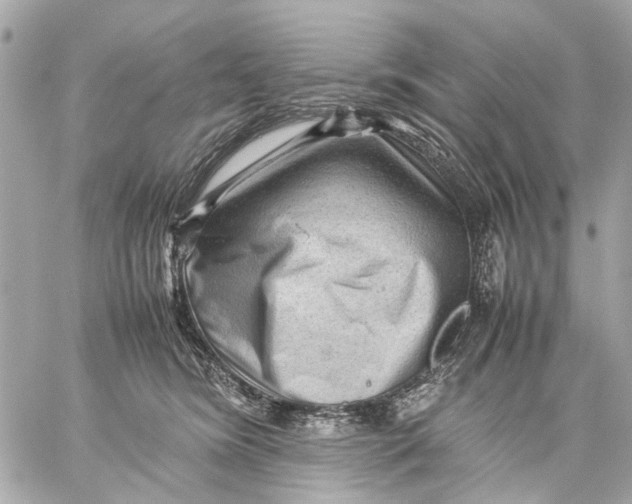 X0000059230420200511041247