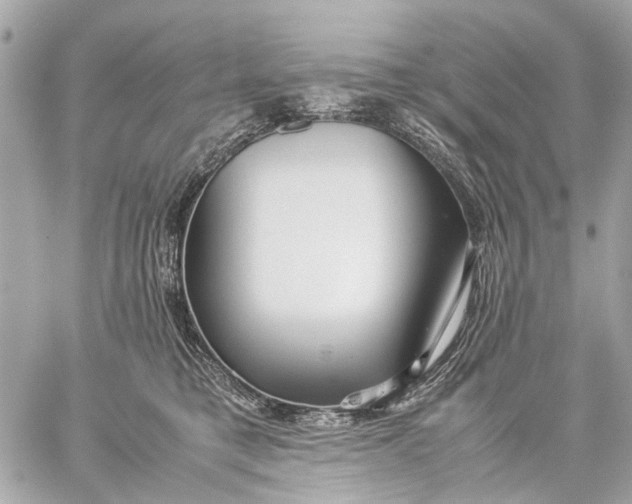 X0000059230421200511041247