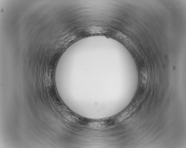 X0000059230422200511041247