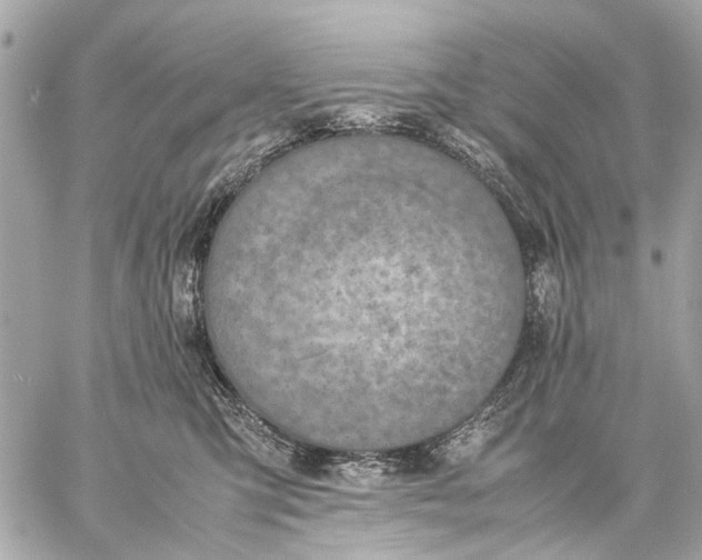 X0000059230423200511041247