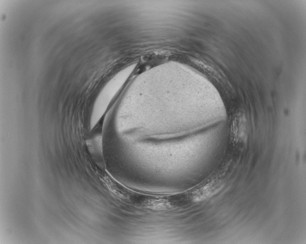 X0000059230424200511041247