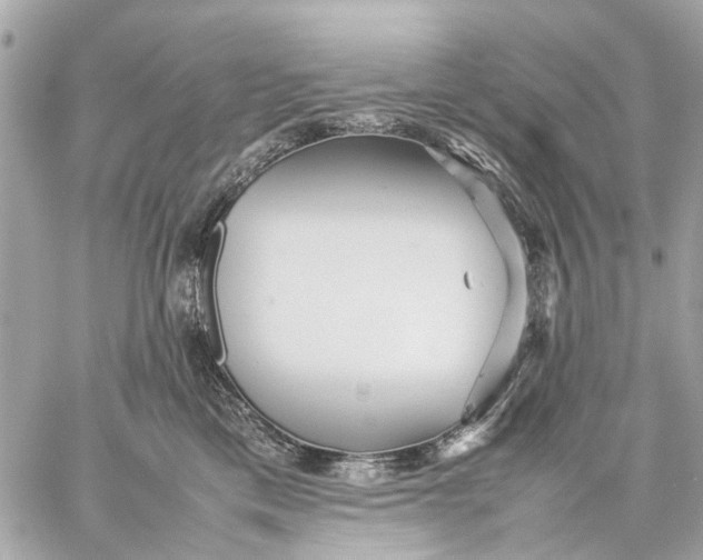 X0000059230425200511041246