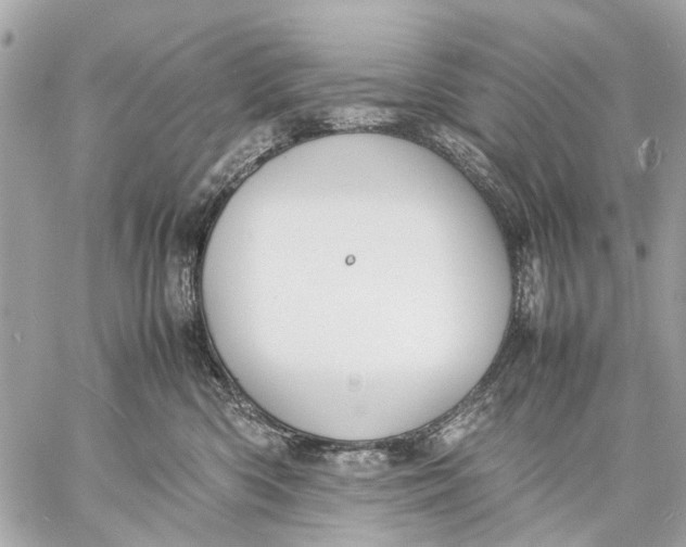 X0000059230426200511041246