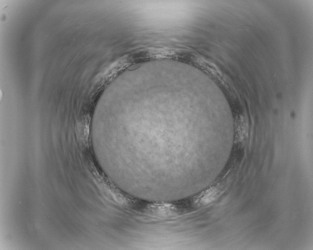 X0000059230427200511041246