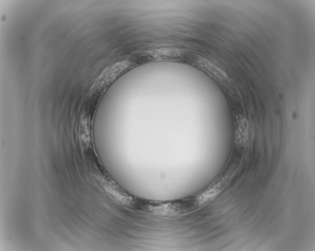 X0000059230430200511041246