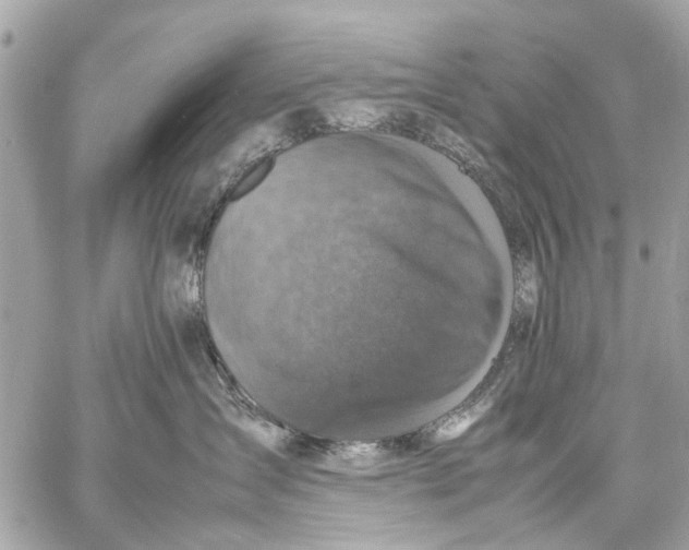 X0000059230431200511041246