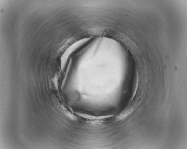 X0000059230432200511041246