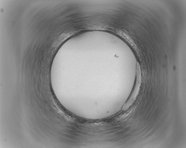 X0000059230433200511041246