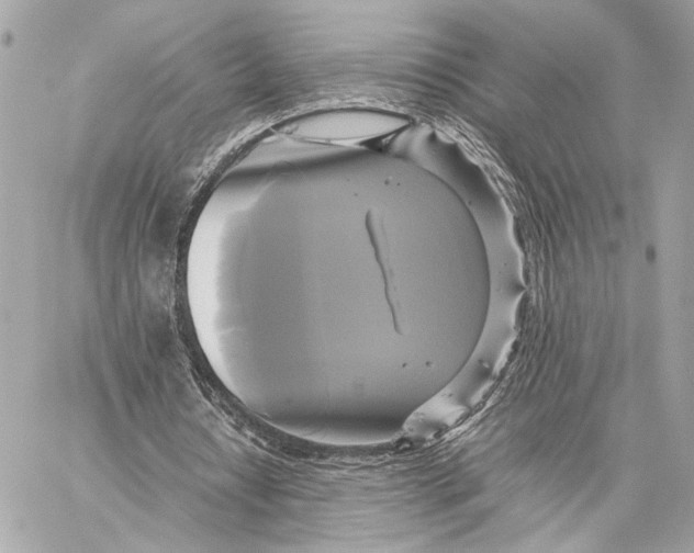 X0000059230434200511041246