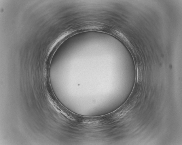 X0000059230435200511041246