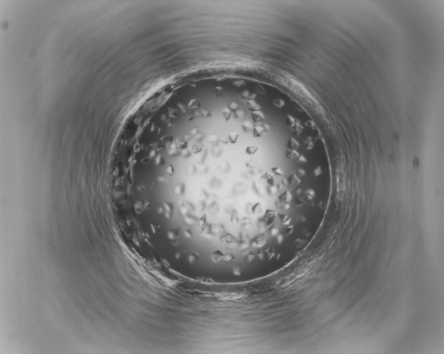 X0000059230436200511041246