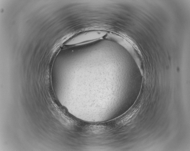 X0000059230437200511041246