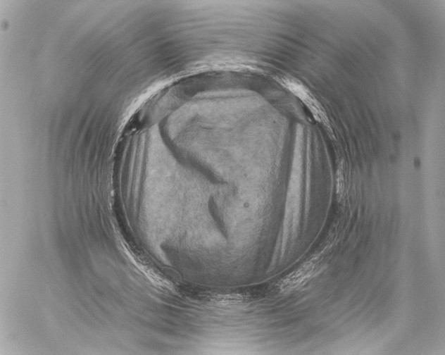 X0000059230438200511041246