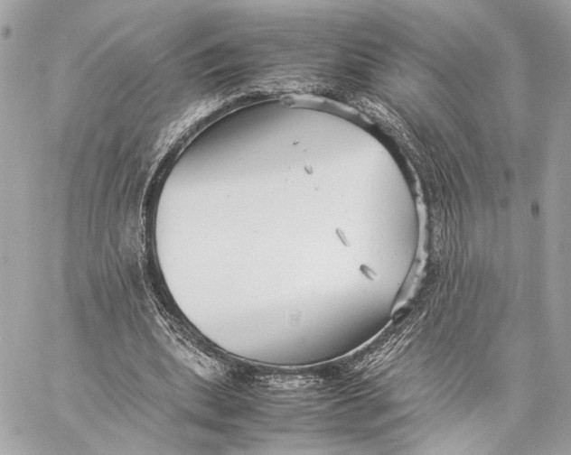 X0000059230439200511041246