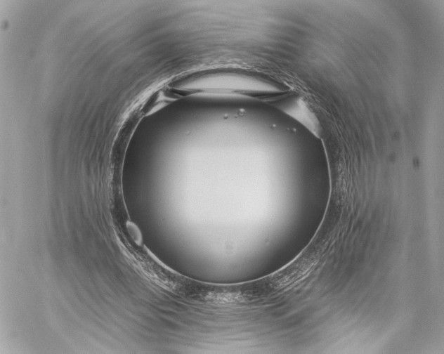 X0000059230440200511041246