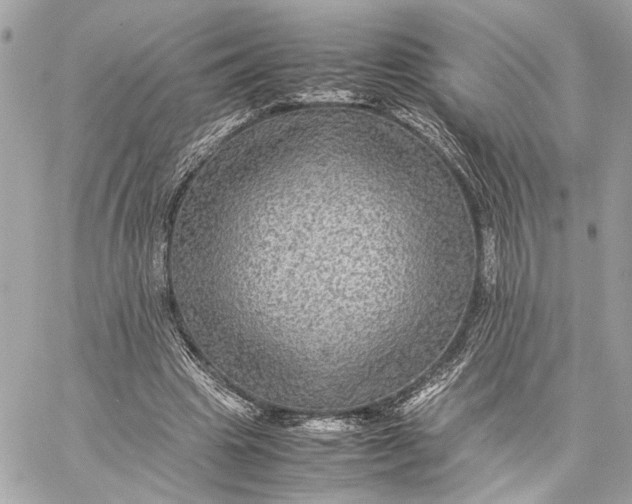 X0000059230441200511041246