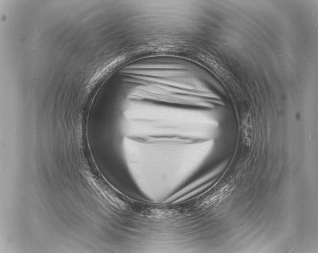 X0000059230442200511041246