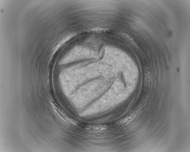 X0000059230443200511041246